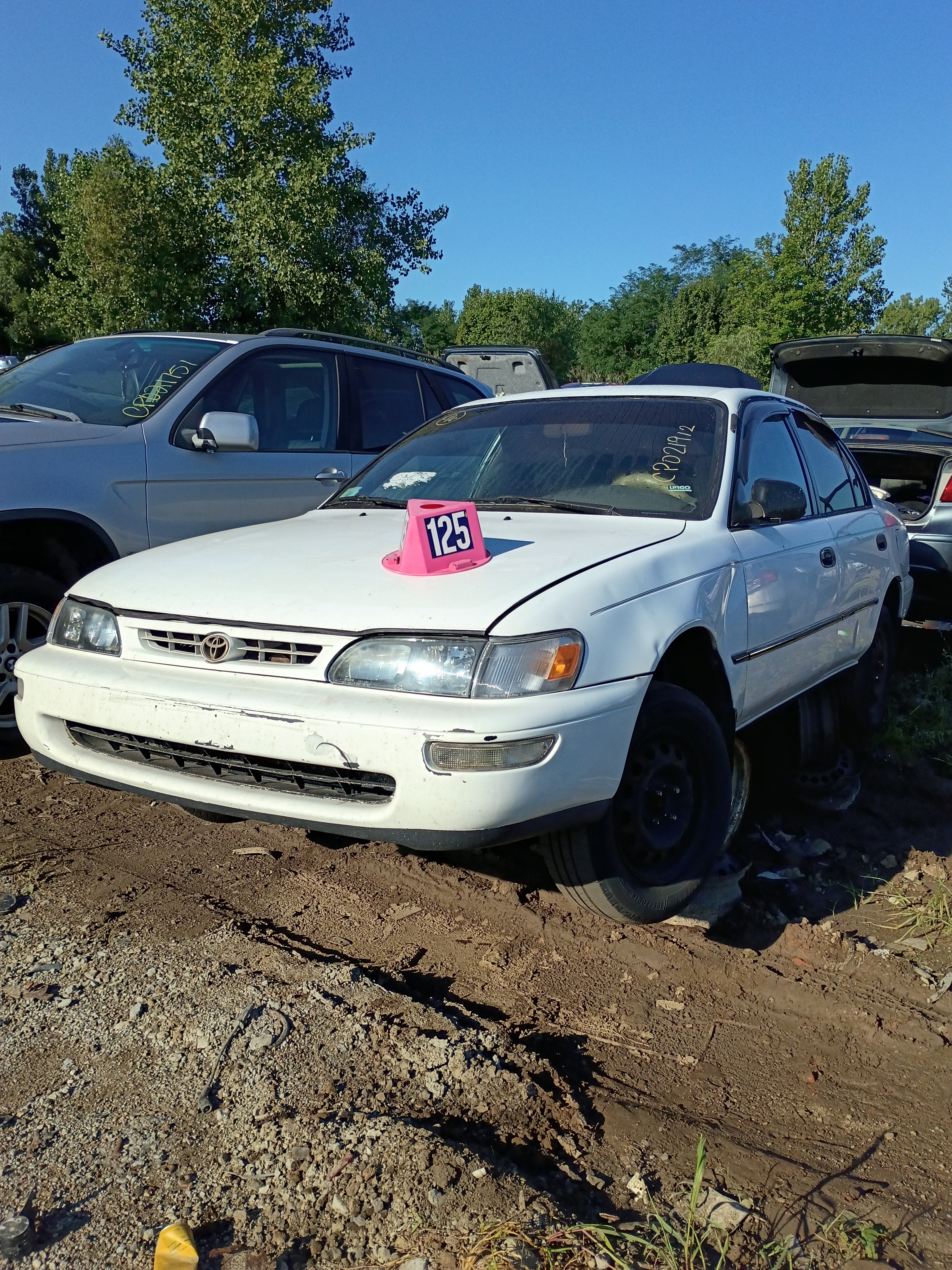 1996 TOYOTA Corolla