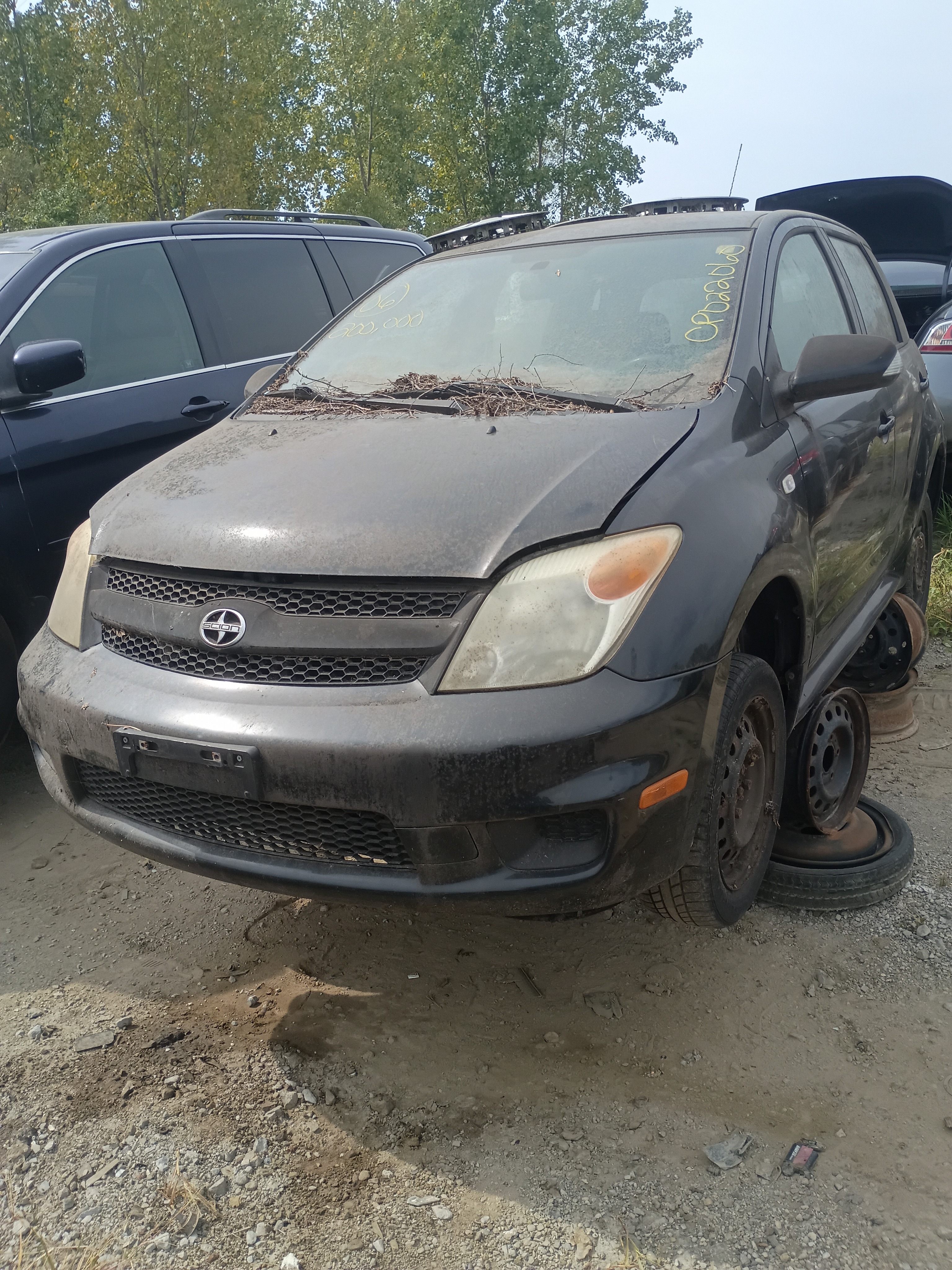 2006 TOYOTA Scion xA