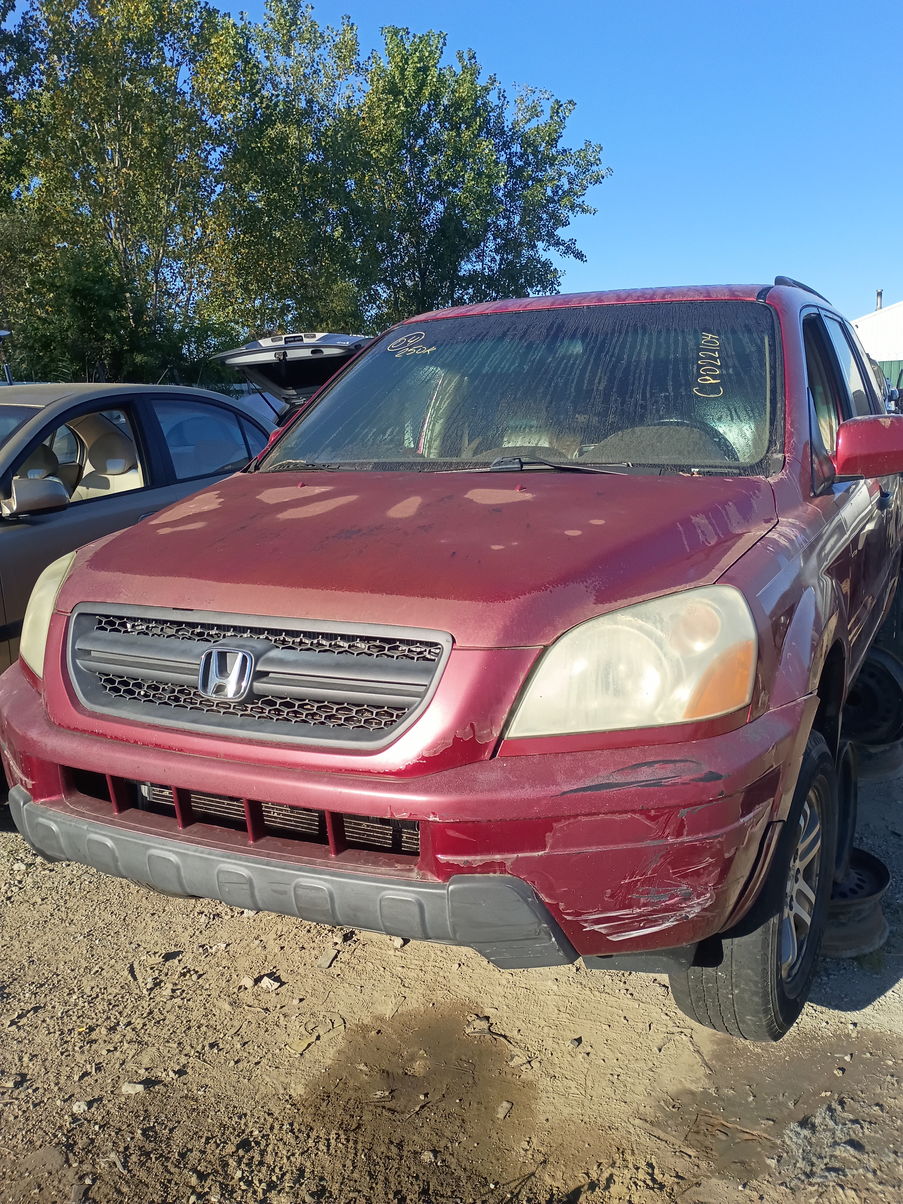 2004 HONDA Pilot