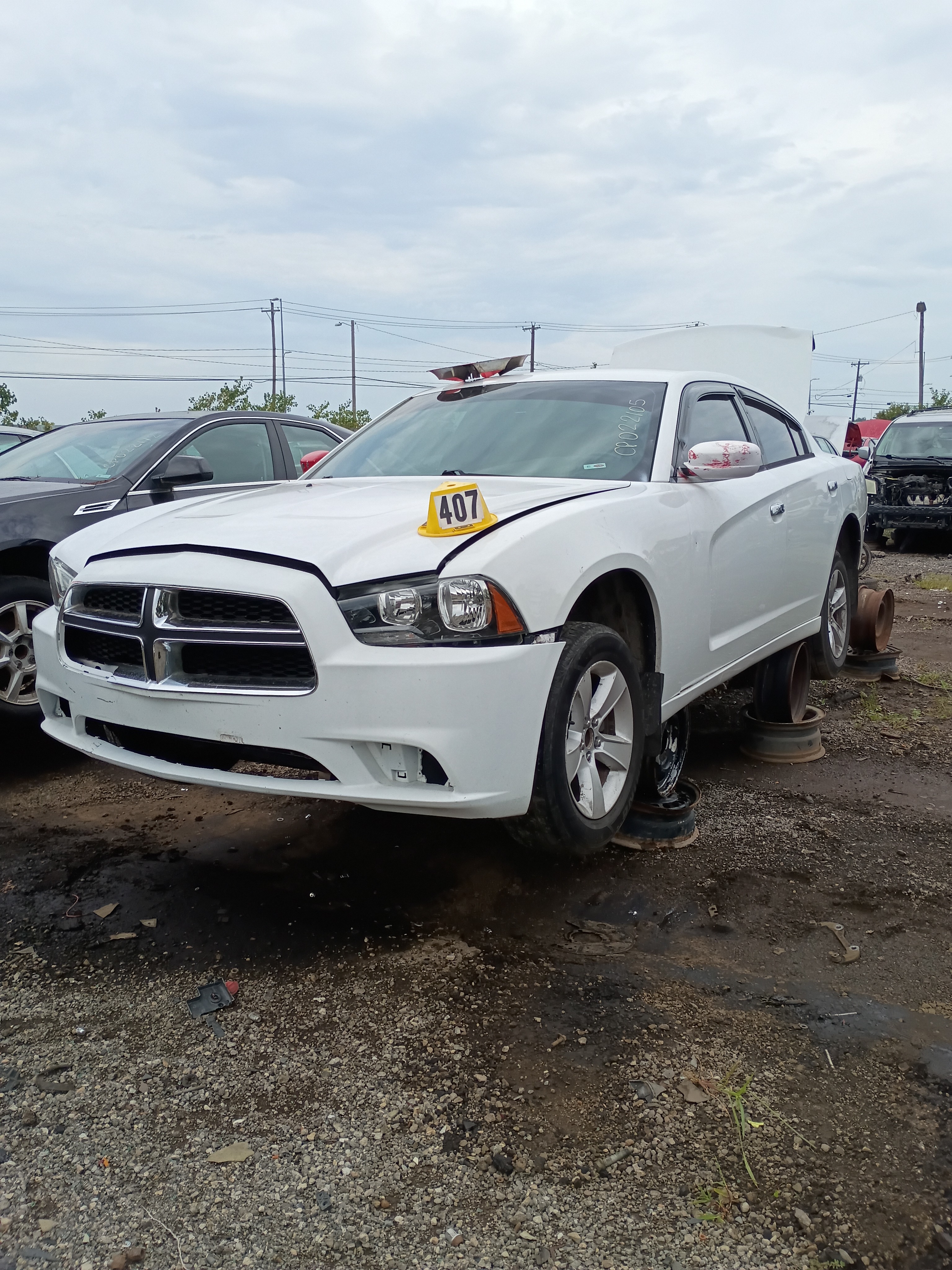 2014 DODGE Charger