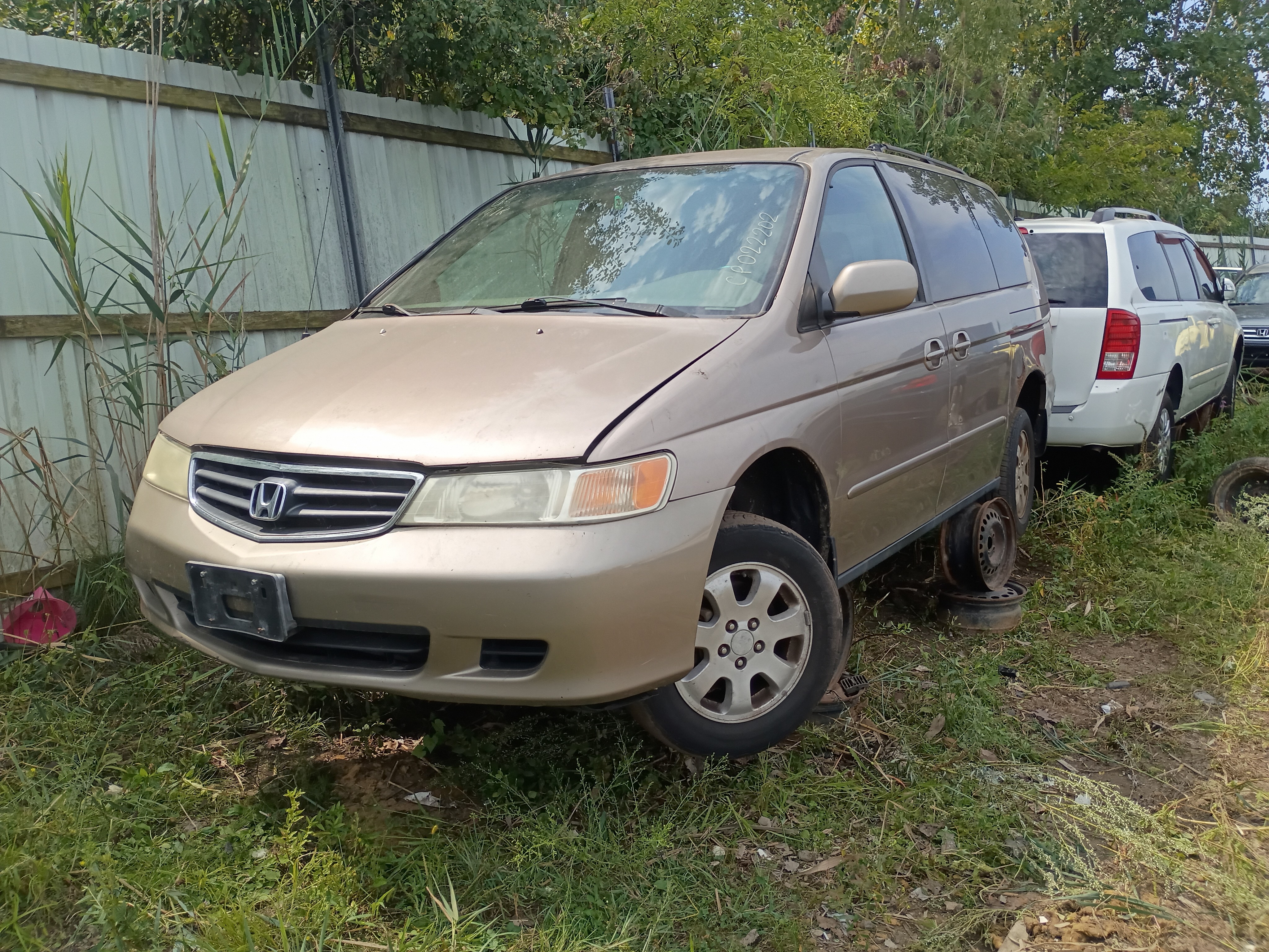 2004 HONDA Odyssey