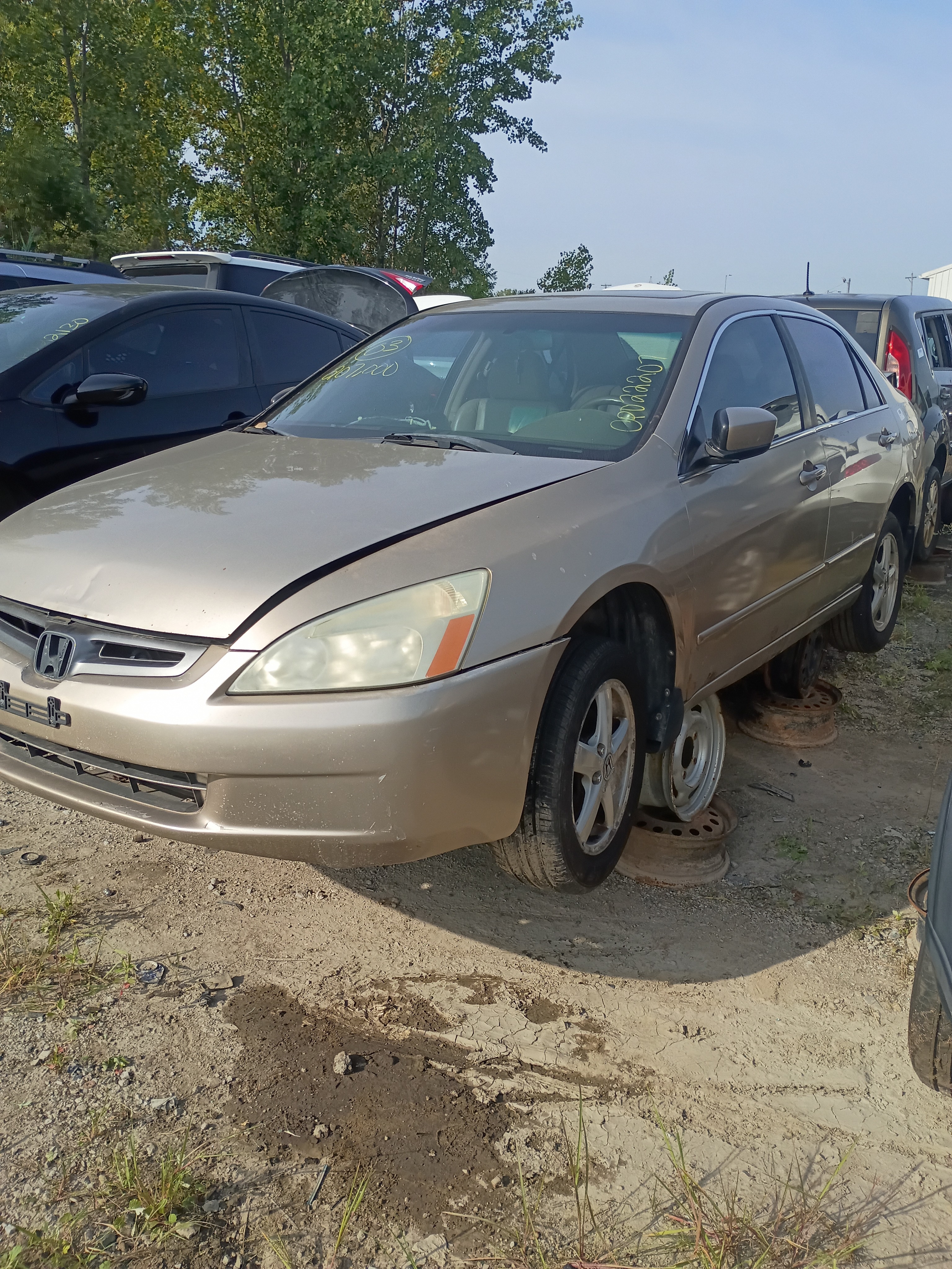 2003 HONDA Accord