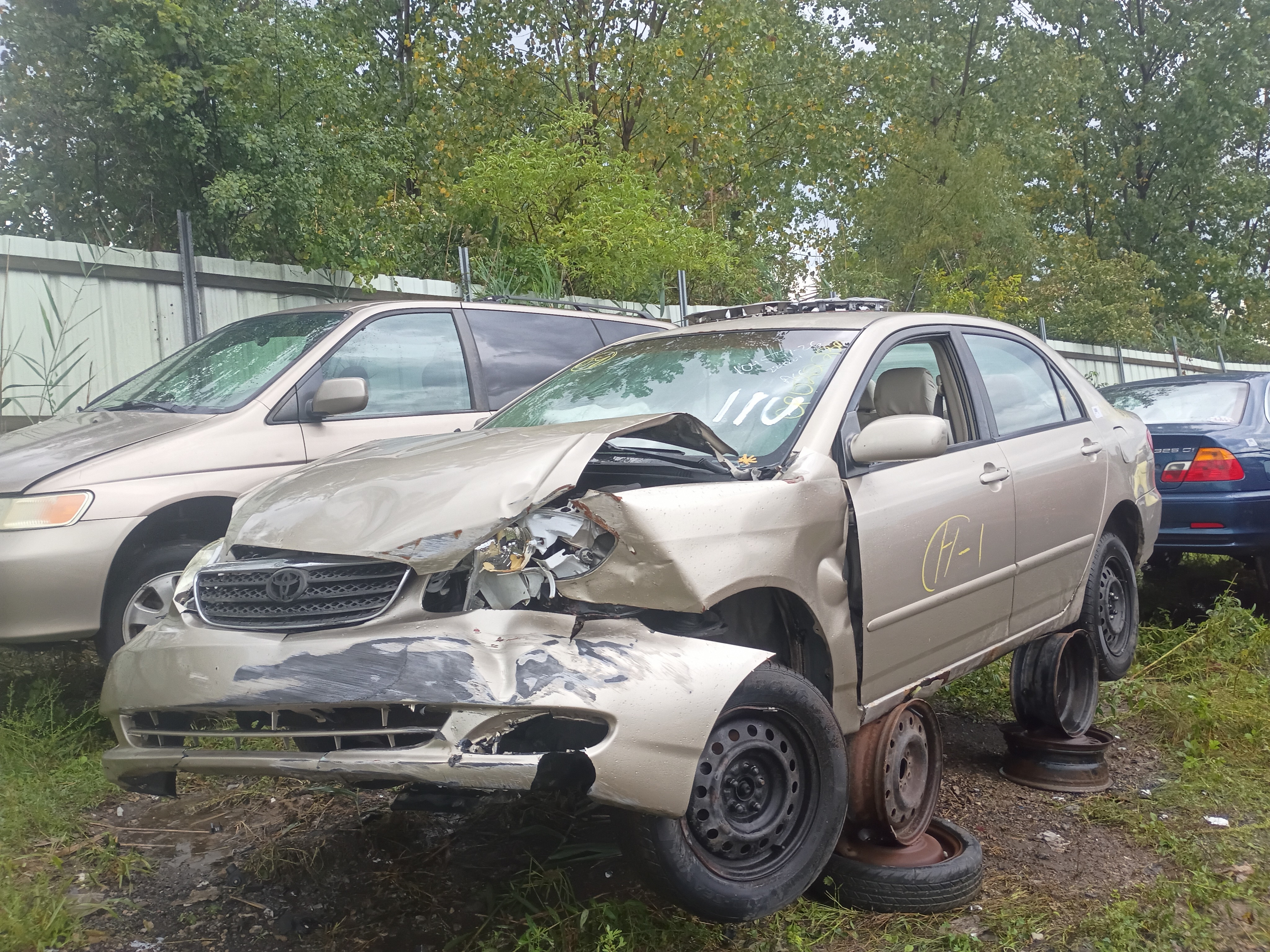 2004 TOYOTA Corolla