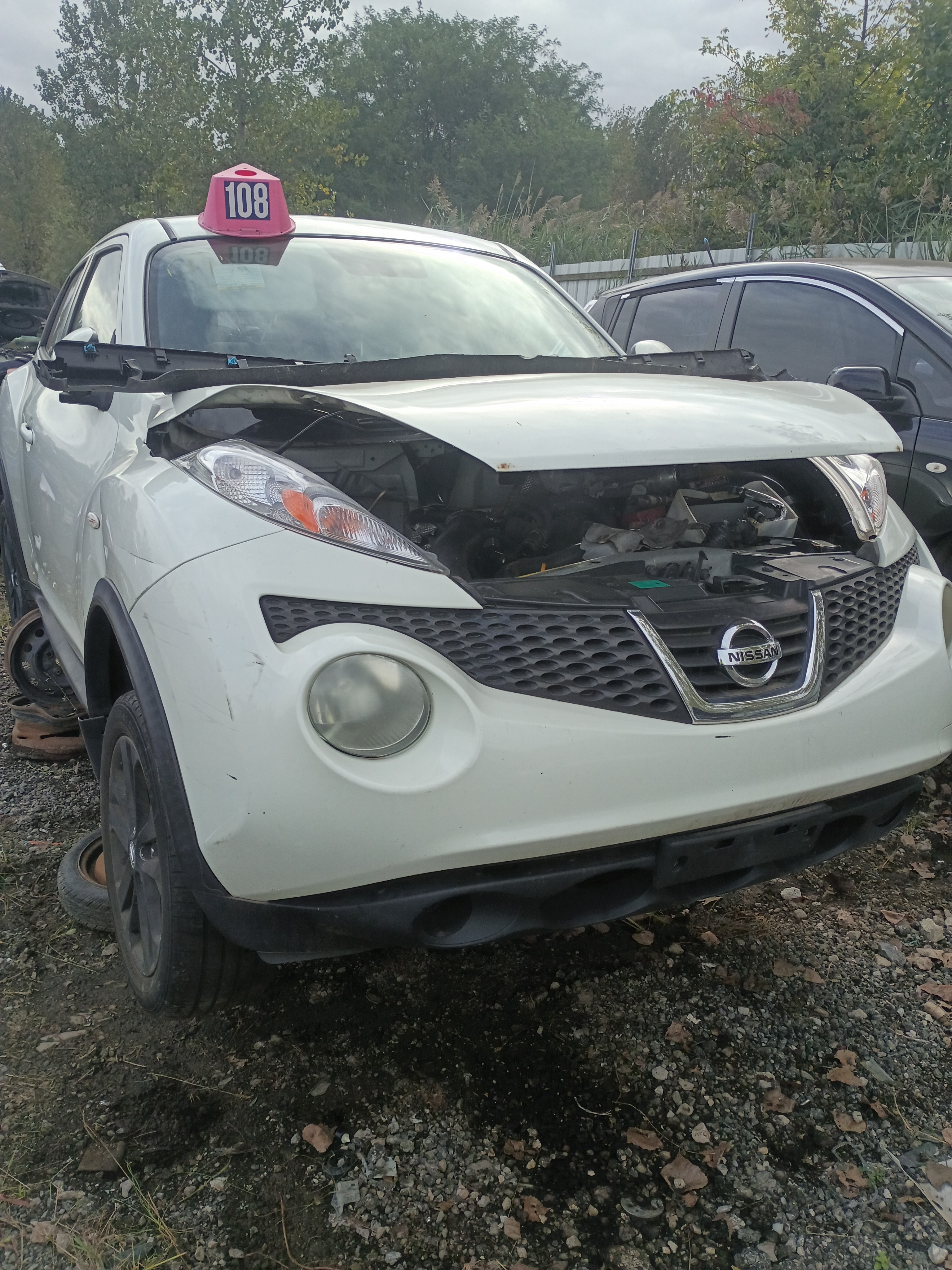 2011 NISSAN Juke