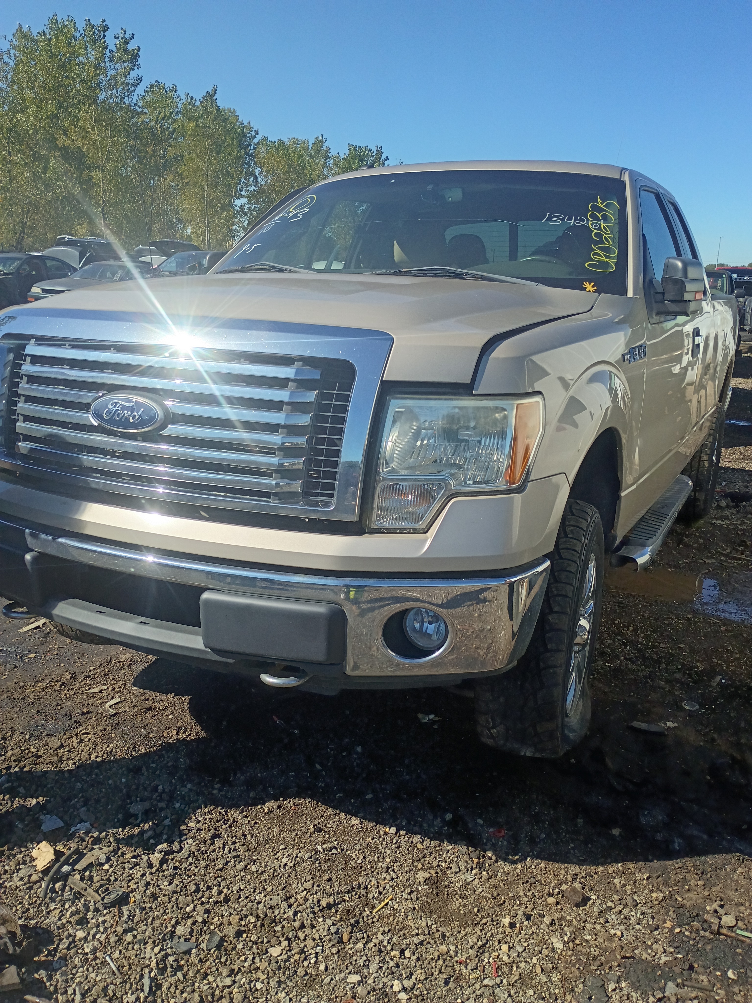 2010 FORD F-150