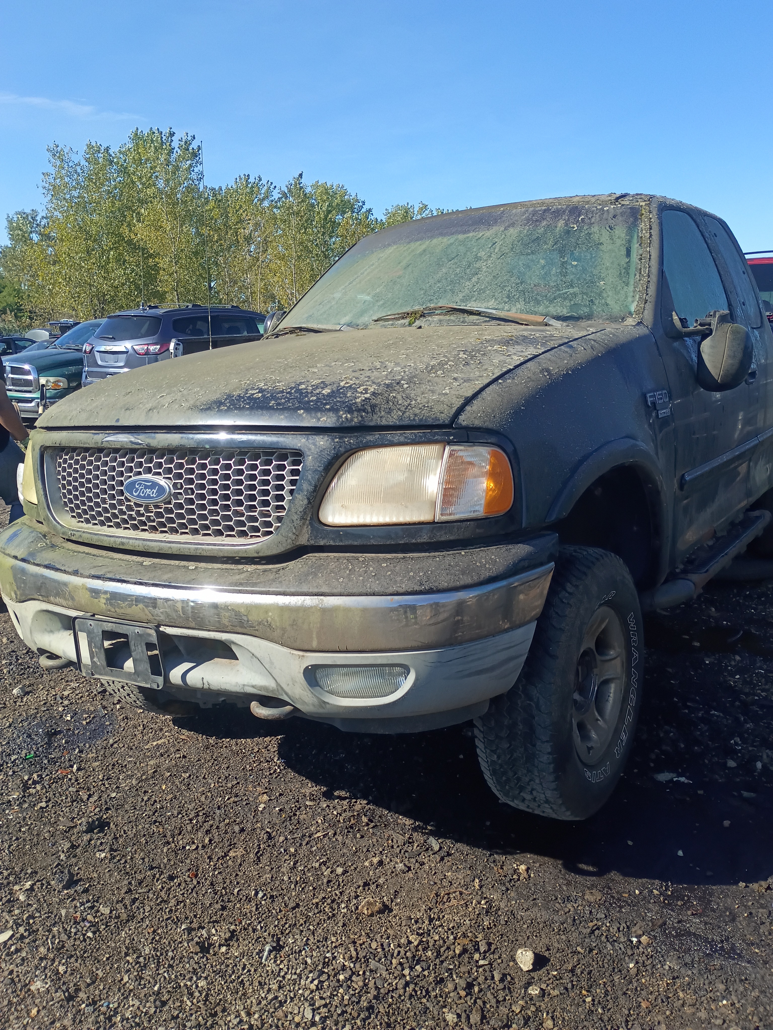 1999 FORD F-150