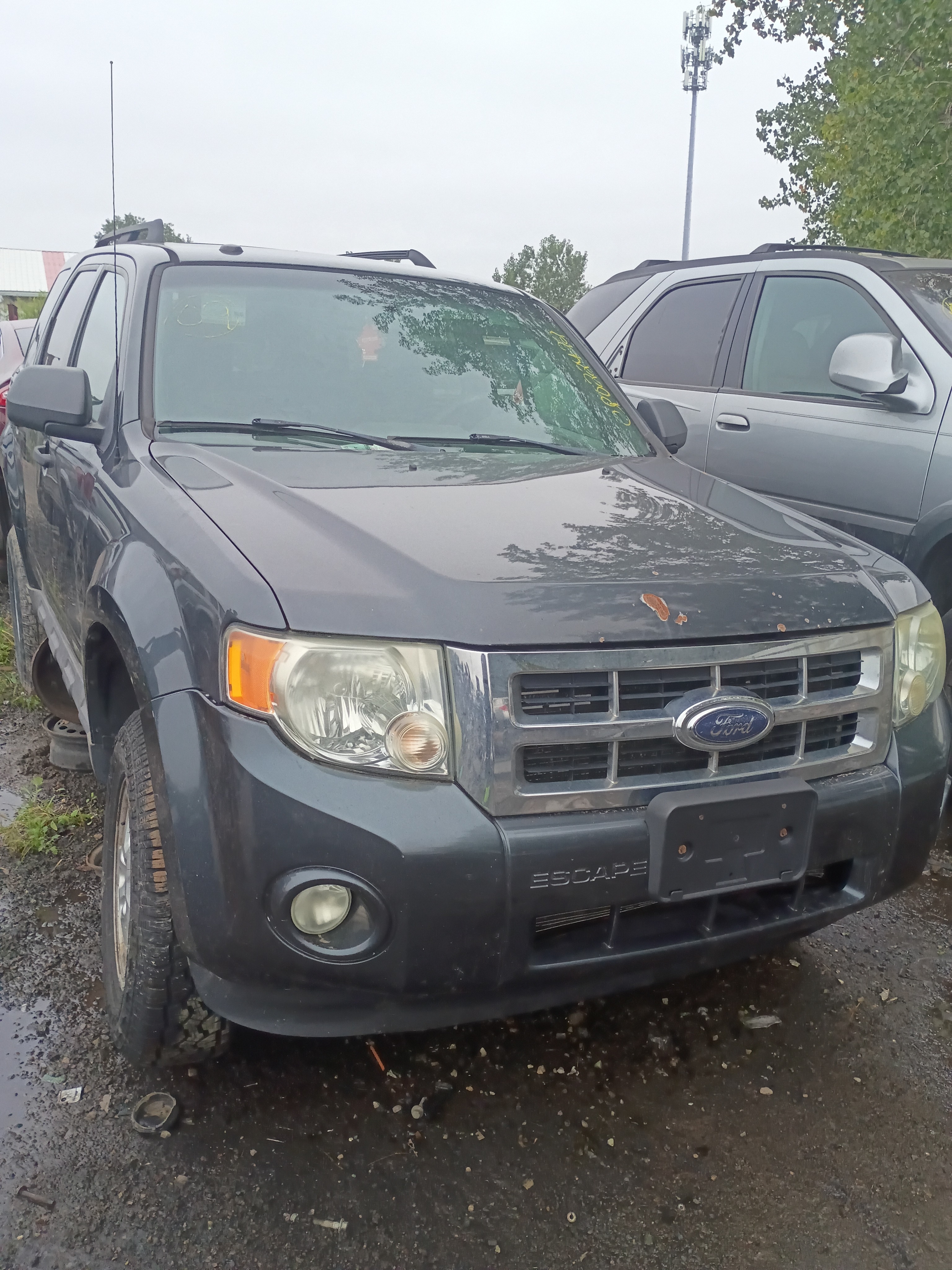 2009 FORD Escape