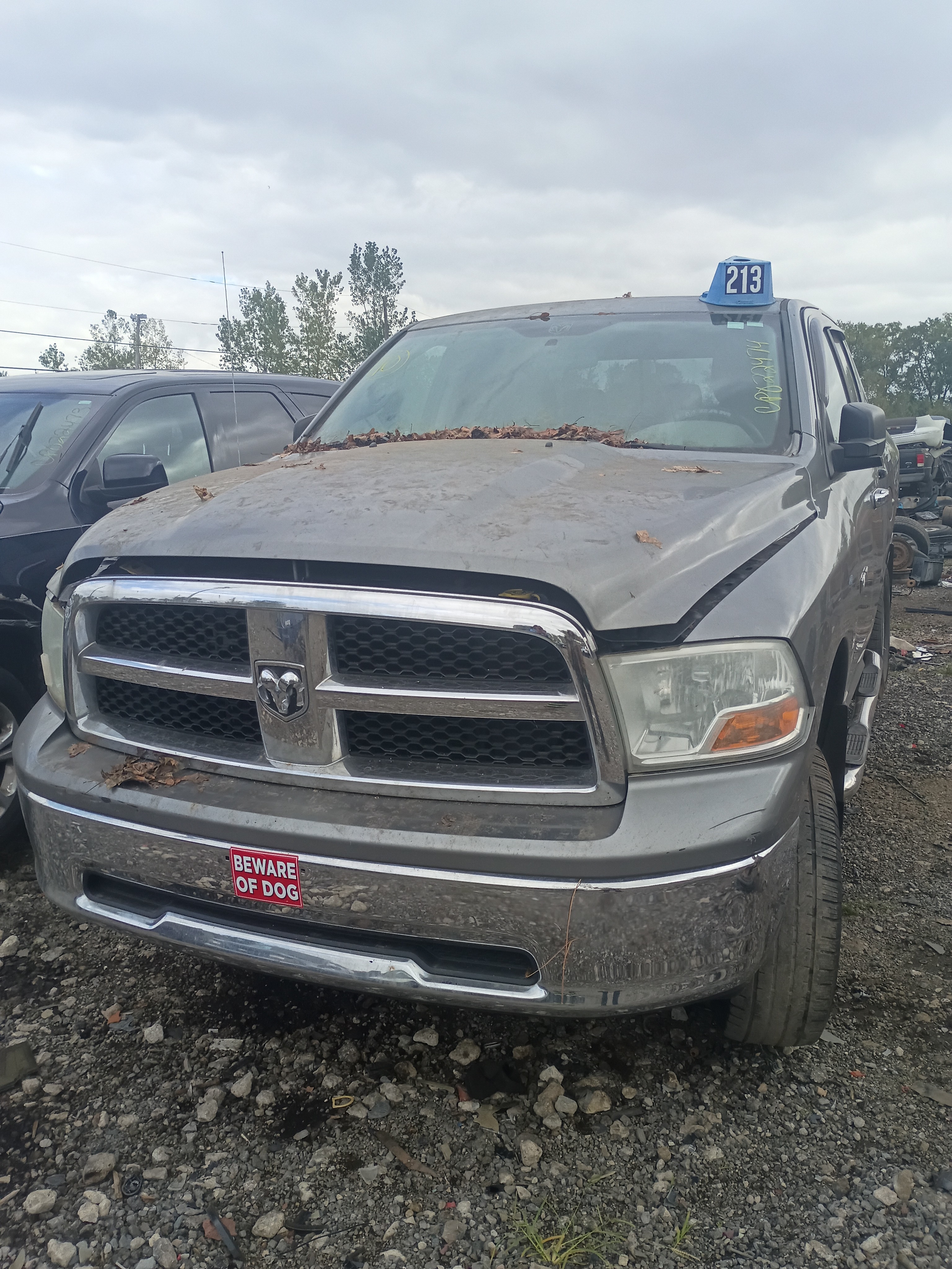 2010 DODGE Ram