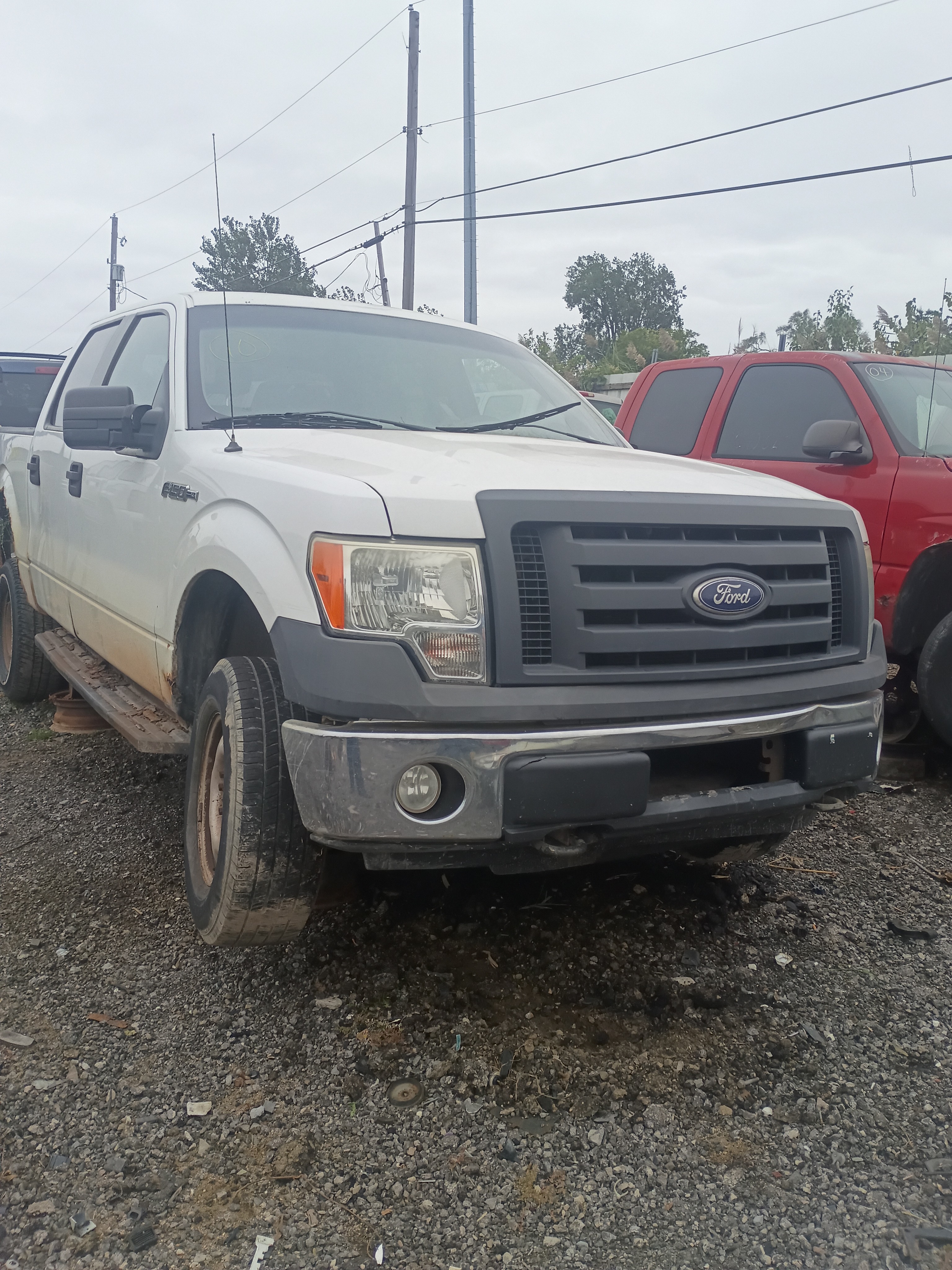 2010 FORD F-150