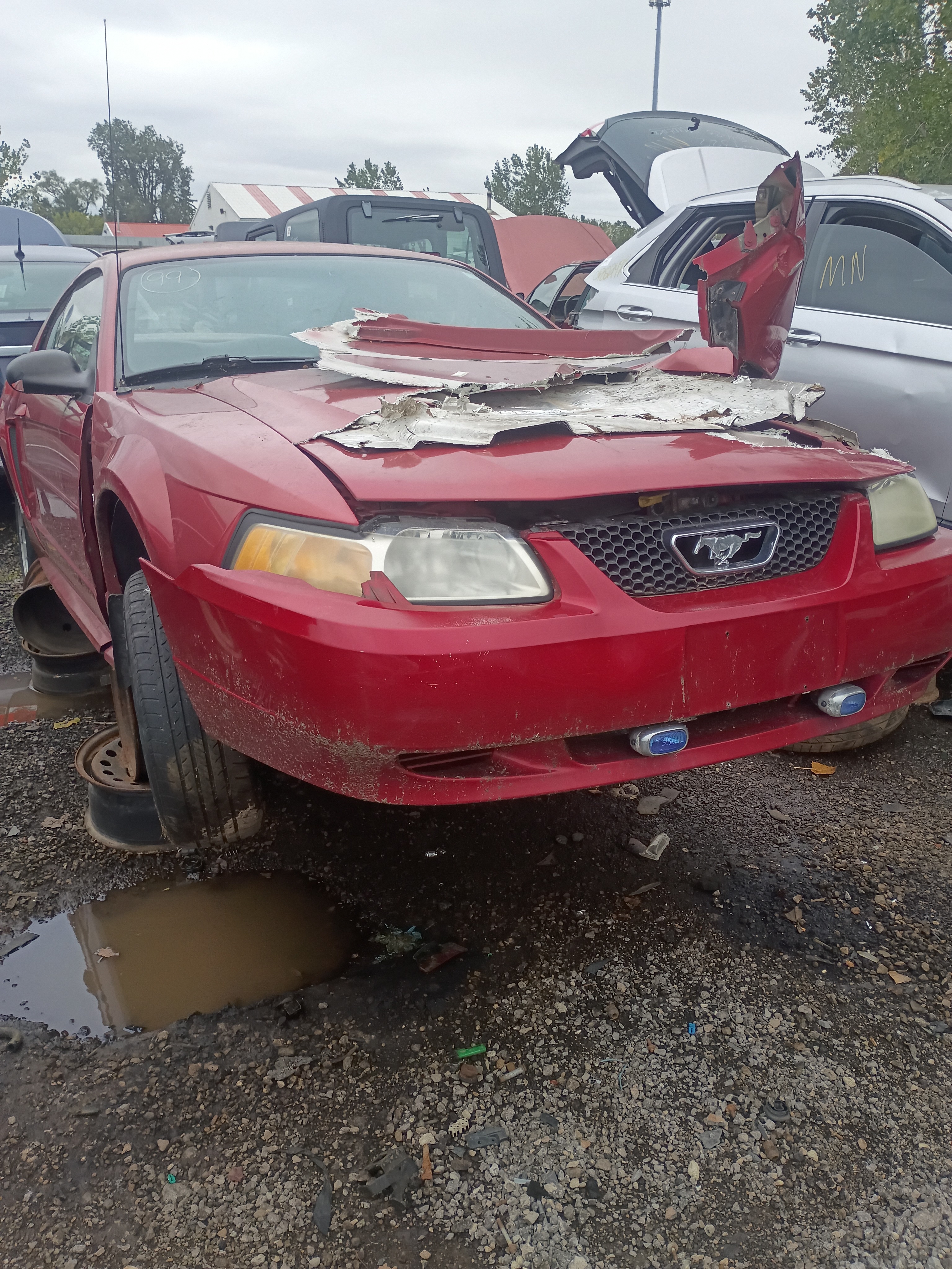 1999 FORD Mustang