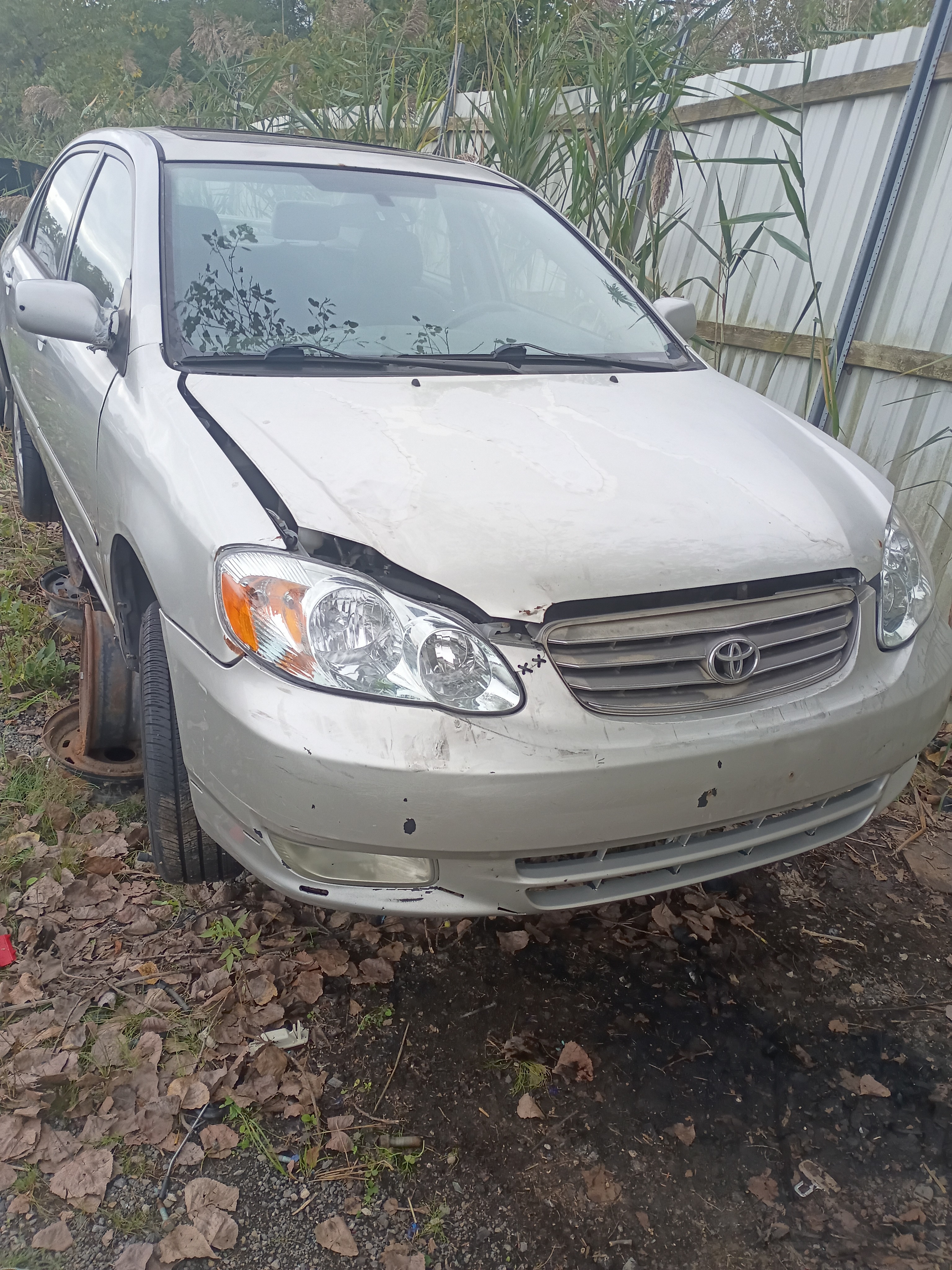 2004 TOYOTA Corolla