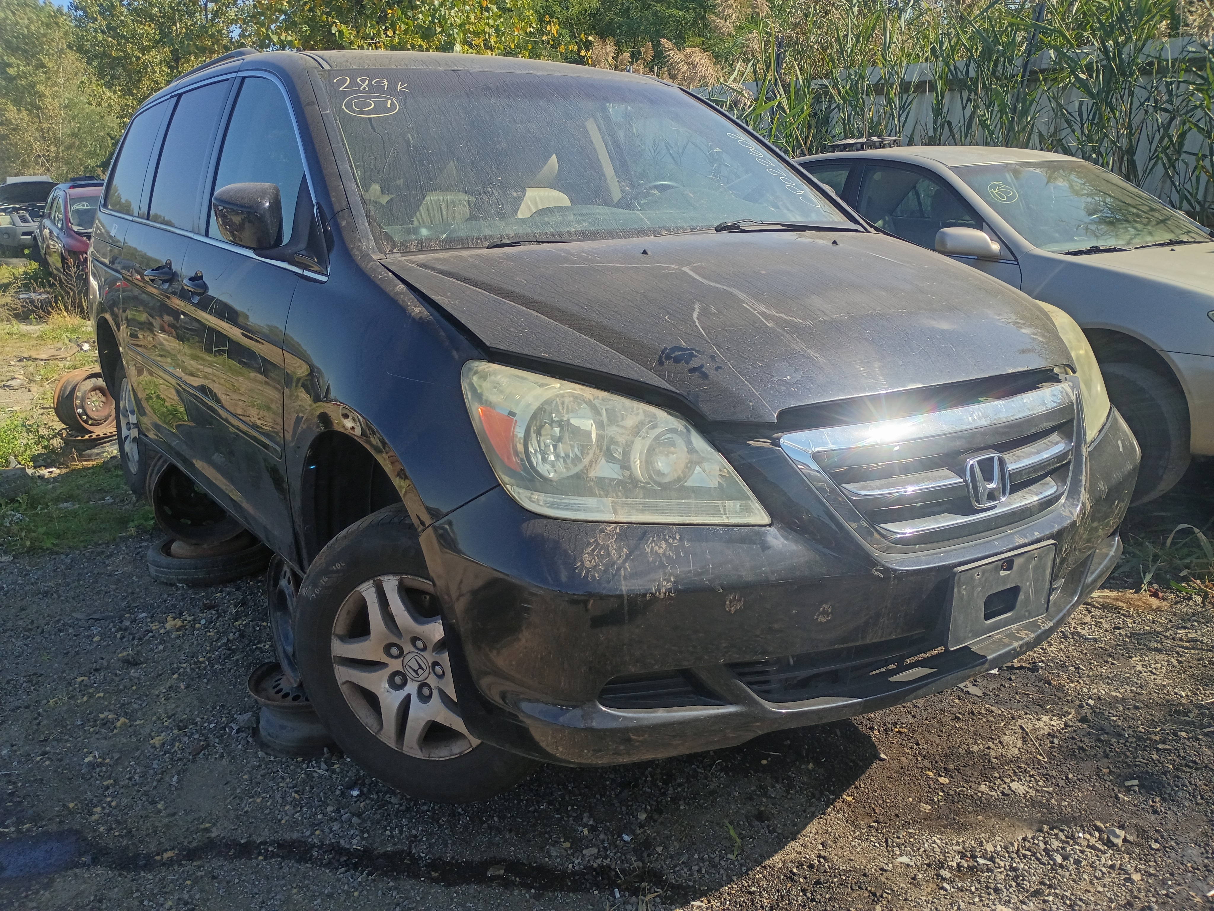 2007 HONDA Odyssey
