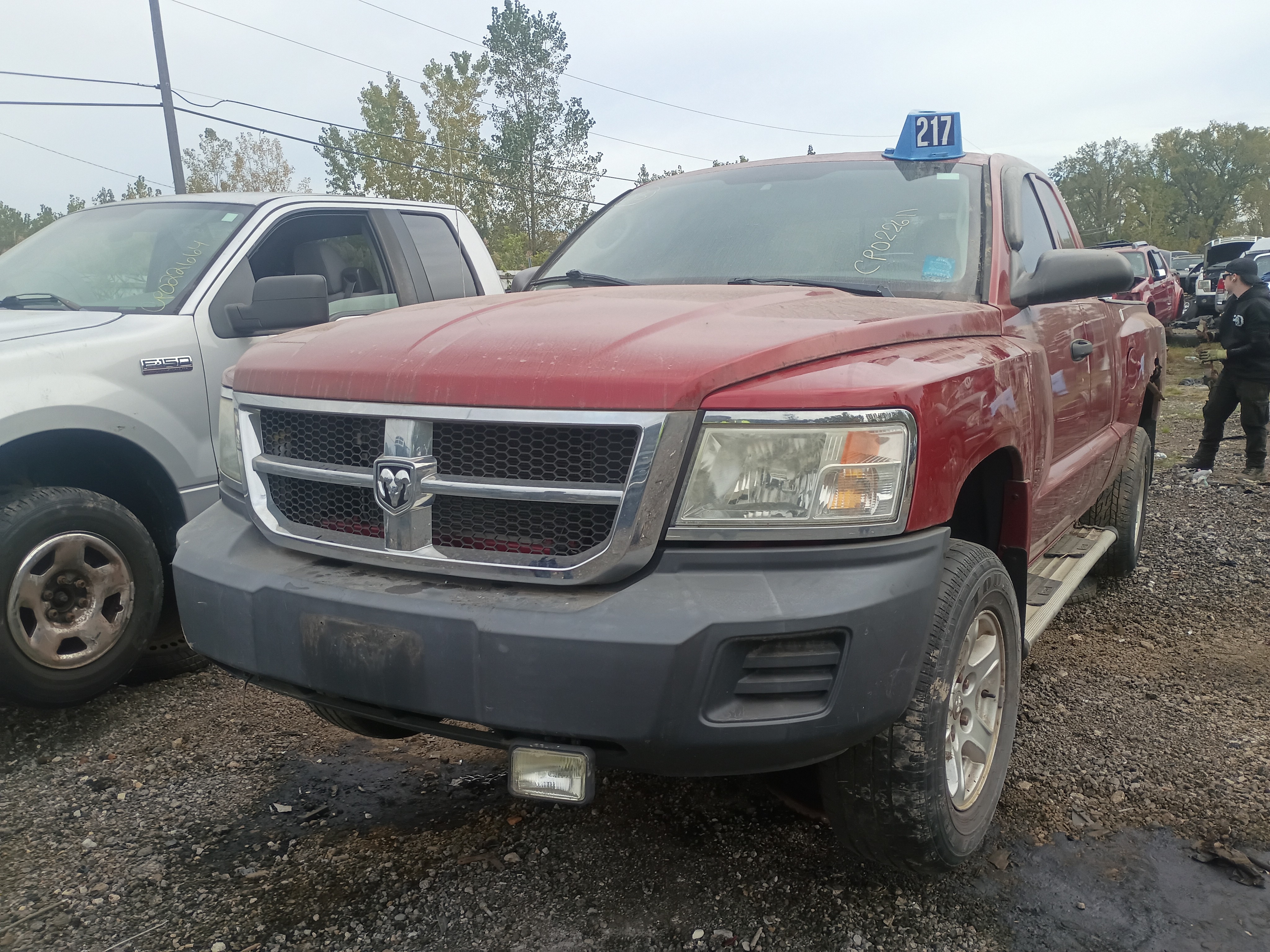 2008 DODGE Dakota