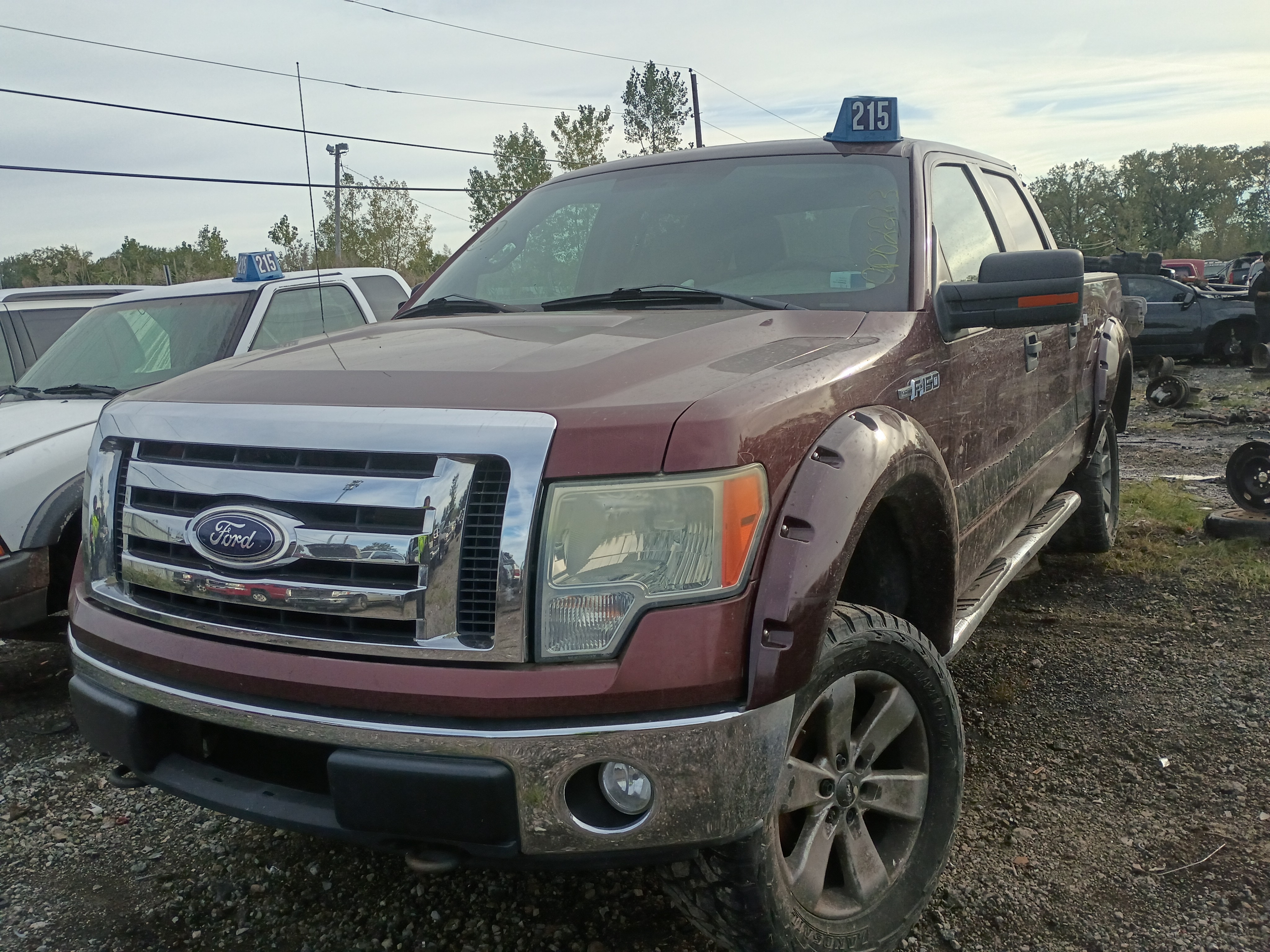 2010 FORD F-150