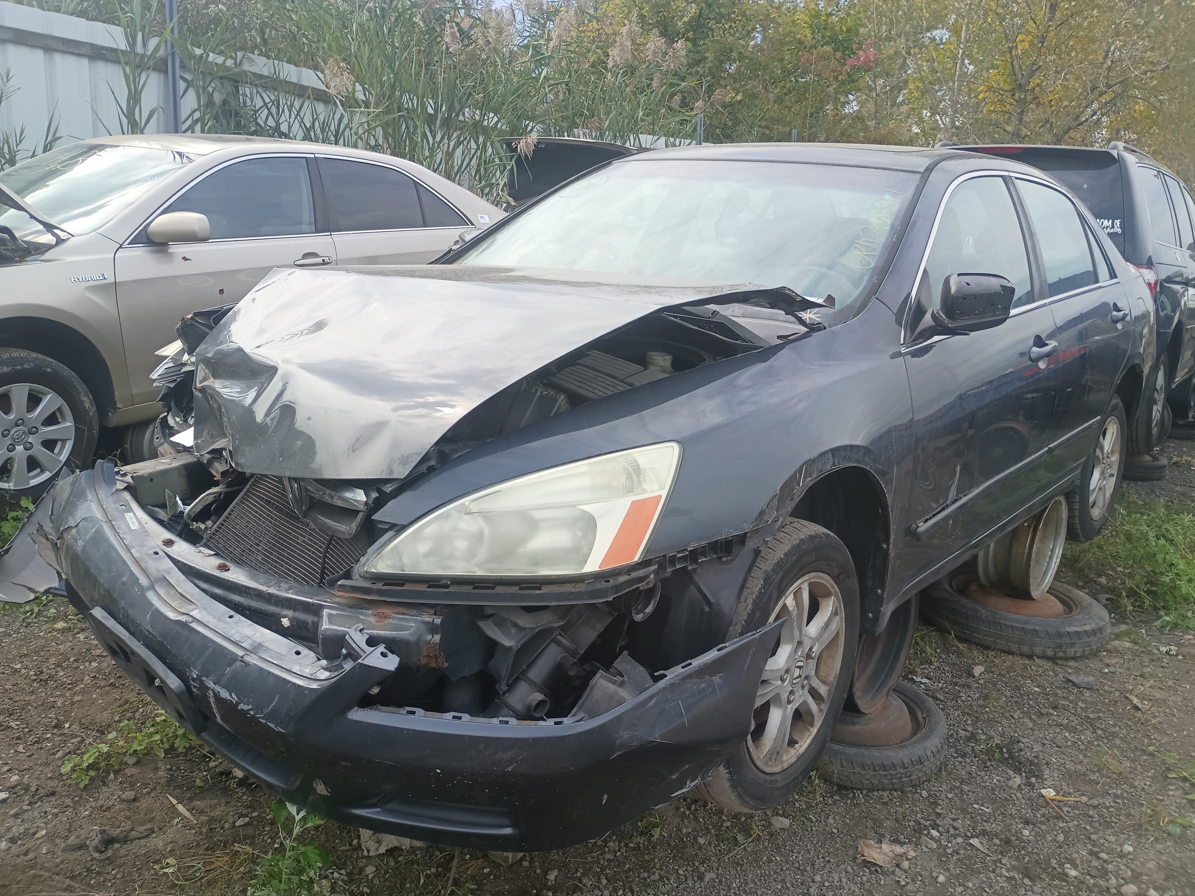 2006 HONDA Accord